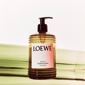 MARIHUANA LIQUID SOAP | 360ml