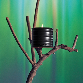 PALO SANTO SMALL SCENTED CANDLE | 170gr