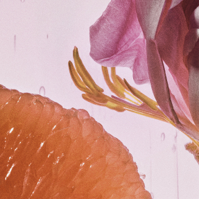 ROSETOPIA EAU DE PARFUM | 100ml
