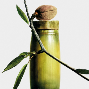 SWEET ALMOND SCENTED CANDLE | 280gr