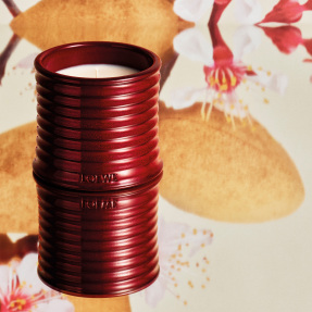 SWEET ALMOND SCENTED CANDLE | 280gr