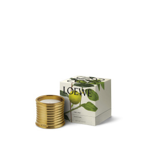 EARL GREY SCENTED CANDLE | 280gr