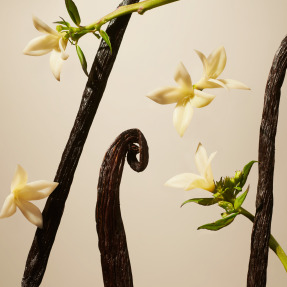 SUEDE VANILLA CAR AIR FRESHENER | 2x3gr