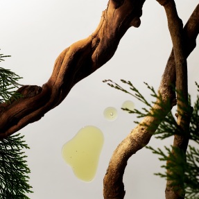 HOMME CAR AIR FRESHENER | 2x3gr