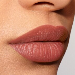 PURE COLOR EXPLICIT SILK MATTE LIPSTICK | 0,7gr 101 Static