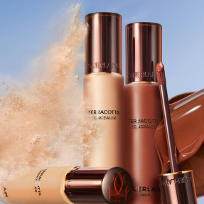 TERRACOTTA CONCEALER NATURAL PERFECTION CONCEALER 24H WEAR - NO-TRANSFER | 2N Neutral