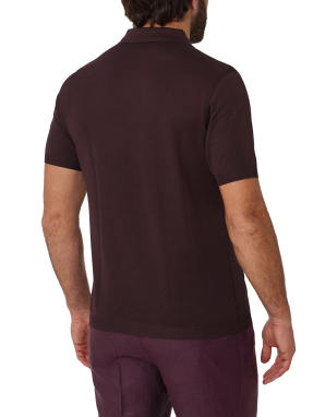 ΑΝΔΡΙΚΗ ΜΠΛΟΥΖΑ POLO | Μπορντό EU 54