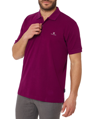 ΑΝΔΡΙΚΗ POLO ΜΠΛΟΥΖΑ | Μωβ Σκούρο L