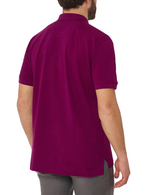 ΑΝΔΡΙΚΗ POLO ΜΠΛΟΥΖΑ | Μωβ Σκούρο XL