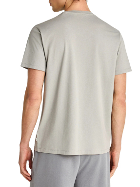 ΑΝΔΡΙΚΟ T-SHIRT | Γκρι XL