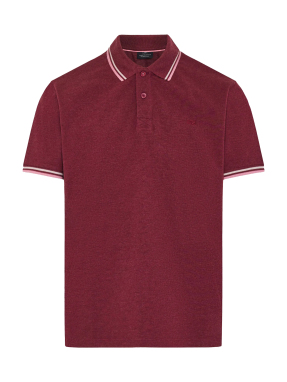 ΑΝΔΡΙΚΗ POLO ΜΠΛΟΥΖΑ | Μπορντό L