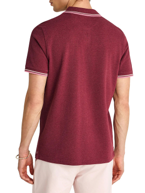 ΑΝΔΡΙΚΗ POLO ΜΠΛΟΥΖΑ | Μπορντό L