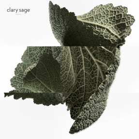 H24 EAU DE PARFUM REFILLABLE | 50ml