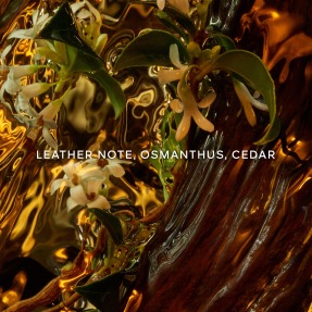 ABSOLUS ALLEGORIA CUIR INTENSE EAU DE PARFUM | 125ml