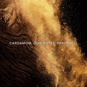 ABSOLUS ALLEGORIA EPICES EXQUISES EAU DE PARFUM | 125ml