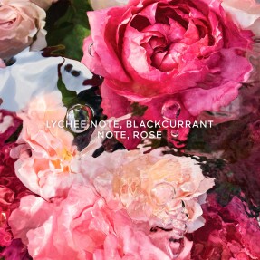 AQUA ALLEGORIA ROSA ROSSA HAND CREAM | 50ml