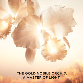 ORCHIDÉE IMPÉRIALE GOLD NOBILE
THE GOLDESSENCE | 140ml