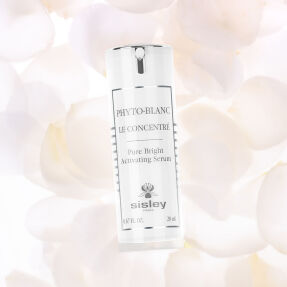 PHYTO BLANC LE CONCENTRÉ | 20ml