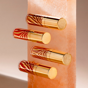 LE PHYTO-GLOSS | 6,5ml 5 Fireworks