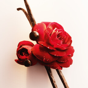 SÌ EAU DE PARFUM INTENSE | 30ml