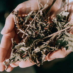 ACQUA DI GIÒ PARFUM REFILL | 150ml