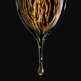 ARMANI PRIVE NOIR KOGANE | 100ml