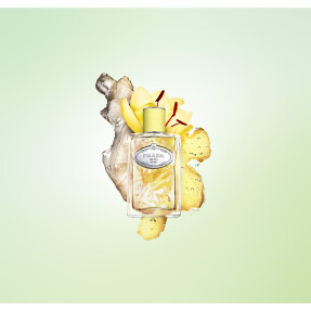 LES INFUSIONS DE GINGEMBRE EAU DE PARFUM | 100ml