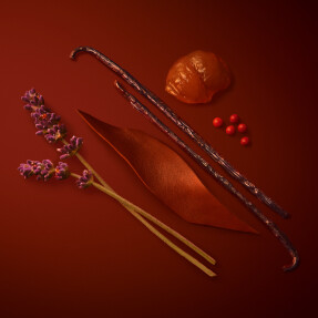 EMPORIO ARMANI FRAGRANCE STRONGER WITH YOU PARFUM | 50ml