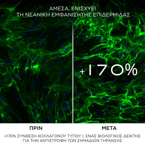 ABSOLUE LONGEVITY SOFT CREAM | 60ml