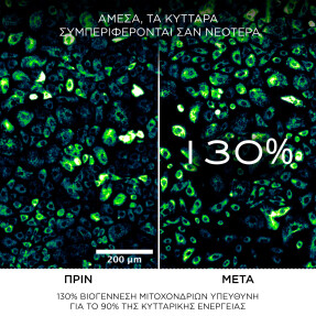 ABSOLUE LONGEVITY SOFT CREAM REFILL | 60ml