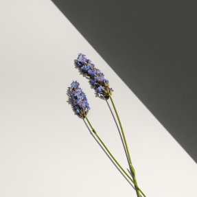 DEFY EAU DE TOILETTE | 30ml