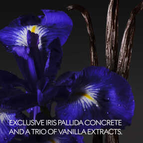 THE ALCHEMIST'S GARDEN VANILLA FIRENZE EAU DE PARFUM | 100ml