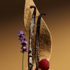 BURBERRY GODDESS PARFUM FOR WOMEN REFILL | 150ml