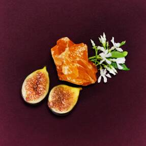 MARC JACOBS PERFECT ABSOLUTE | 30ml