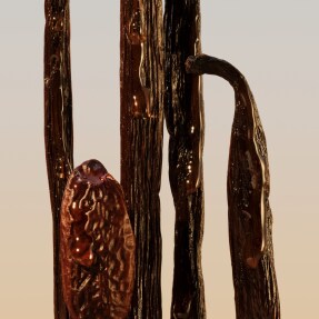 CHLOÉ LE PARFUM FOR WOMEN REFILL | 150ml