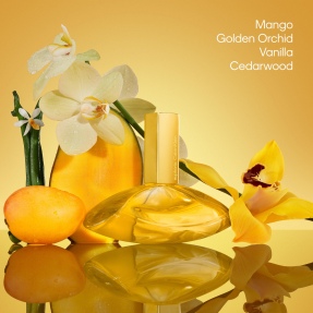 EUPHORIA SOLAR ELIXIR PARFUM INTENSE FOR WOMEN | 50ml