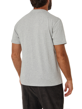 ΑΝΔΡΙΚΟ T-SHIRT | Γκρι XXL