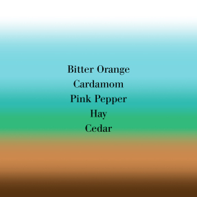 BIGARADE CONCENTREE PERFUME | 10ml