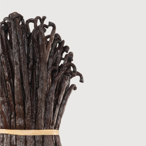 VANILLA POWDER EXTRAIT DE PARFUM | 50ml