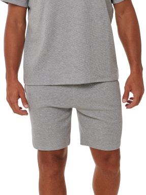 ΑΝΔΡΙΚΟ SHORTS | Γκρι 033 L