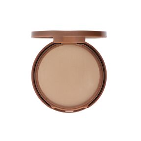 WATER-RESISTANT PROTECTIVE POWDER SPF25 | 9,8gr 500 Porcelain