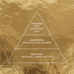 ΣΕΤ BLUE SAGE EAU DE TOILETTE + ΑΦΡΟΛΟΥΤΡΟ