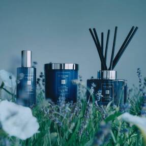 LAVENDER & MOONFLOWER DIFFUSER | 165ml