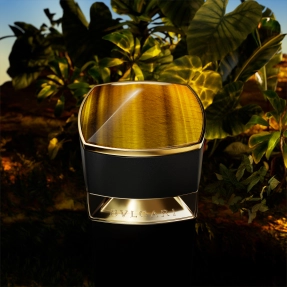 BVLGARI LE GEMME TYGAR EAU DE PARFUM | 60ml