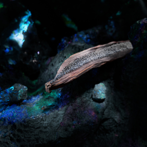 BVLGARI LE GEMME ΟROM EAU DE PARFUM | 60ml