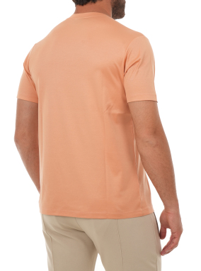 ΑΝΔΡΙΚΟ T-SHIRT | Πορτοκαλί 231 XXL