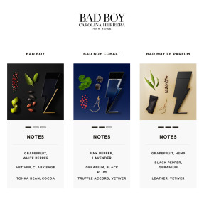 BAD BOY EAU DE TOILETTE | 50ml