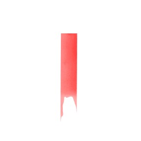 THE MINI TINT | Coral Smack - Shade 006