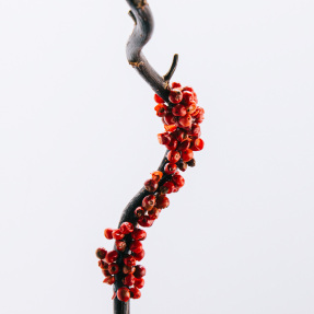 LOEWE 7 EAU DE TOILETTE | 50ml