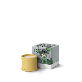HONEYSUCKLE SMALL SCENTED CANDLE | 170gr